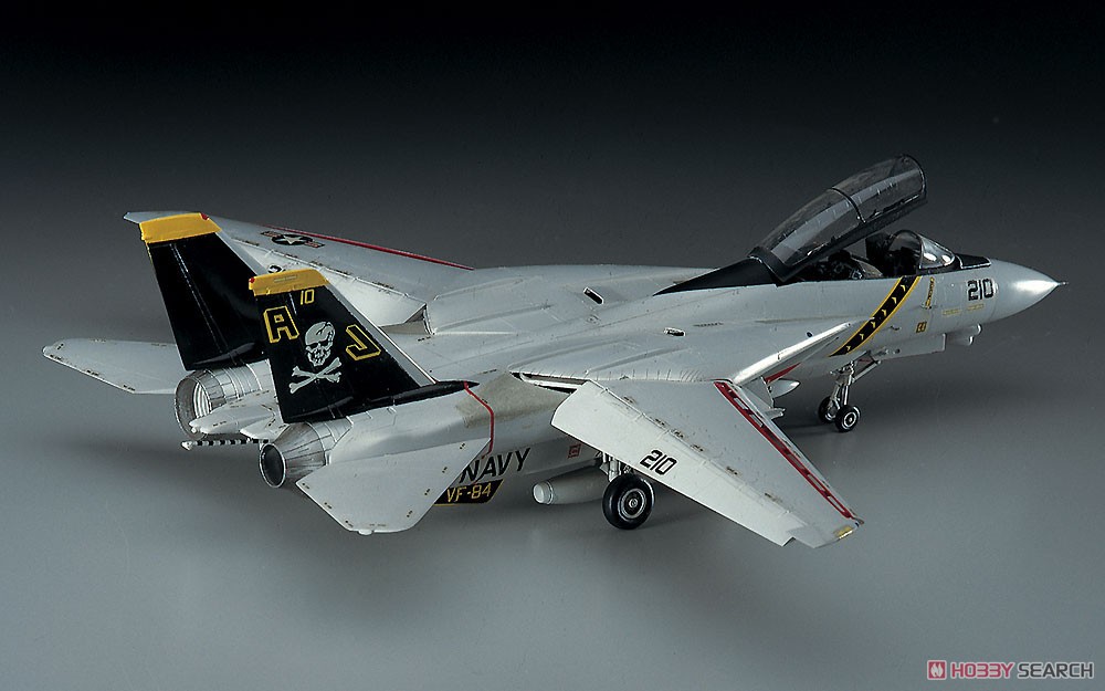 Hasegawa F-14A Tomcat (High Visibility) (Plastic model) 图片 4