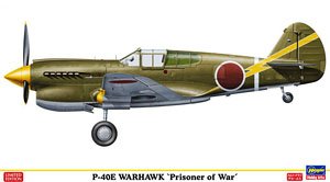 Hasegawa P-40E Warhawk 'Prisoner of War' (Plastic model)