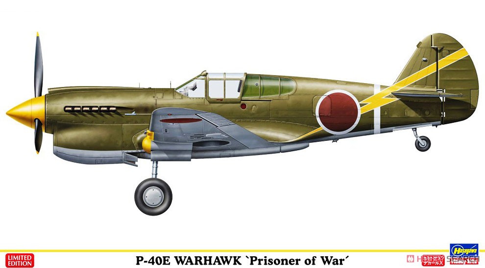 Hasegawa P-40E Warhawk „Kriegsgefangener" (Plastikmodell) Bild 2