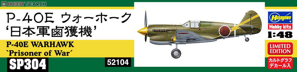 Hasegawa P-40E Warhawk „Kriegsgefangener" (Plastikmodell) Bild 4