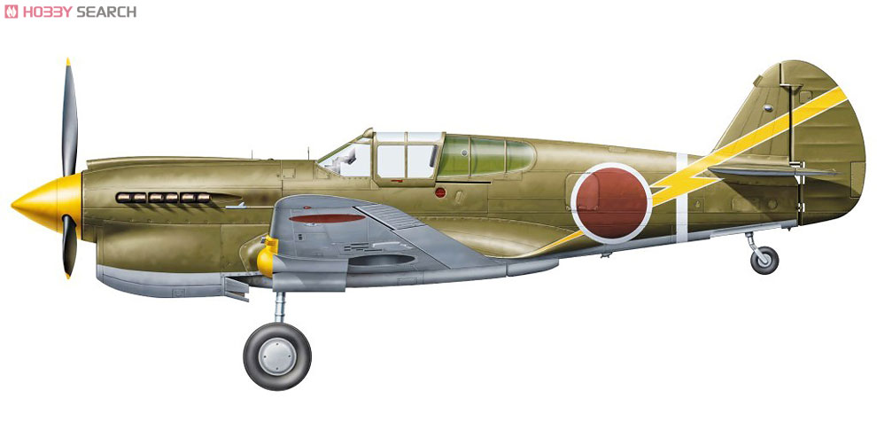 Hasegawa P-40E Warhawk „Kriegsgefangener" (Plastikmodell) Bild 5