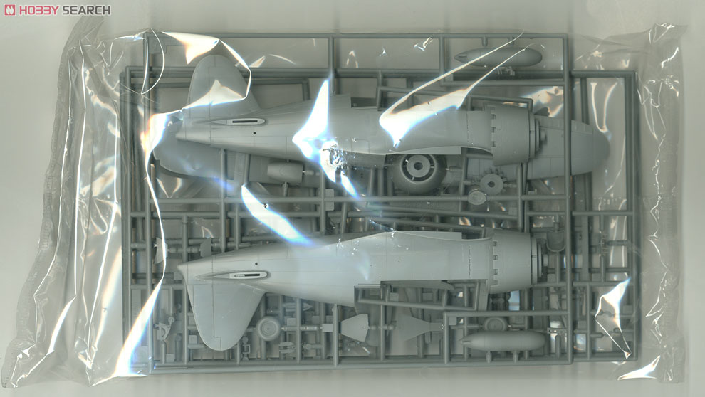 Hasegawa Mitsubishi J2M3 Raiden (Jack) Type21 `Prisoner of War` (โมเดลพลาสติก) รูปภาพ 7