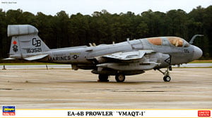 Hasegawa EA-6B Prowler `VMAQT-1` (Plastic model)