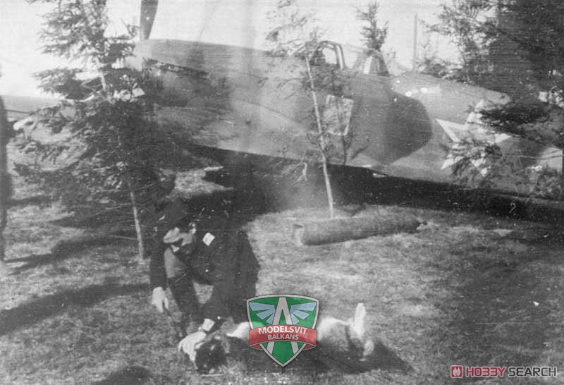 Modelsvit Yak-9T 対戦車型 ソビエト戦闘機 プラモデル 画像 4