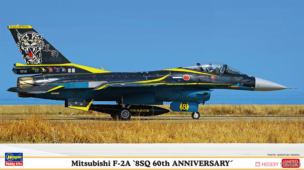 Hasegawa Mitsubishi F-2A `8SQ 60th Anniversary` (Plastic model) Bild 2
