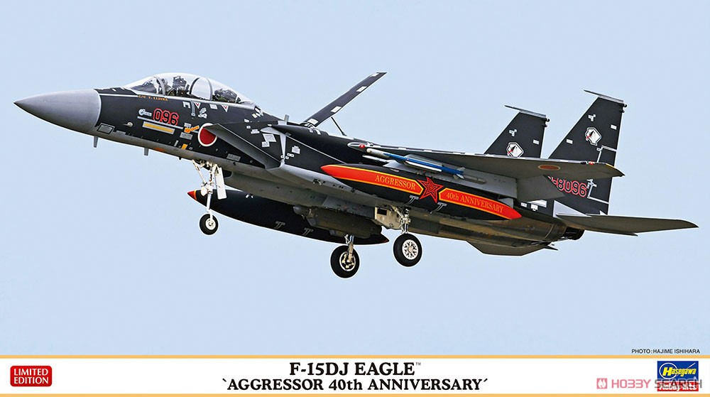 Hasegawa F-15DJ 鹰式战斗机 "假想敌中队40周年" (塑料模型) 图片 2