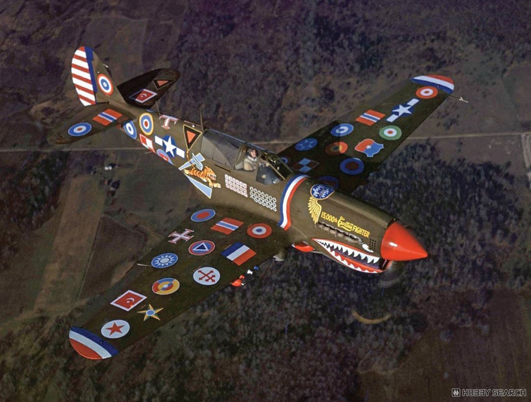 Eduard P-40N 워호크 15,000번째 기념 도장 한정판 (프라모델) 이미지 3