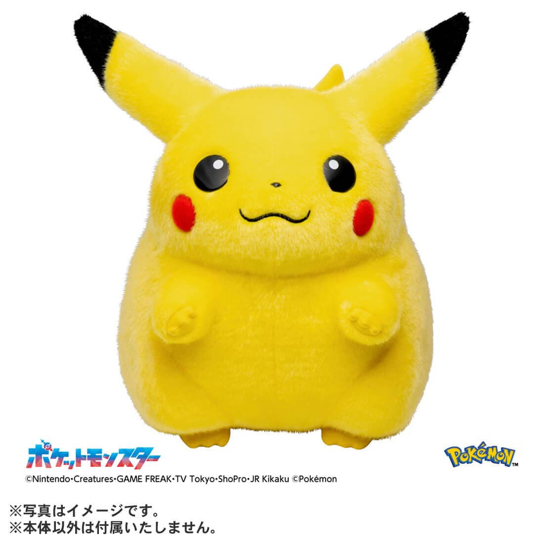 Tomy (TakaraTomy) Pokemon 30th Anniversary Pikachu 1/1 image 2