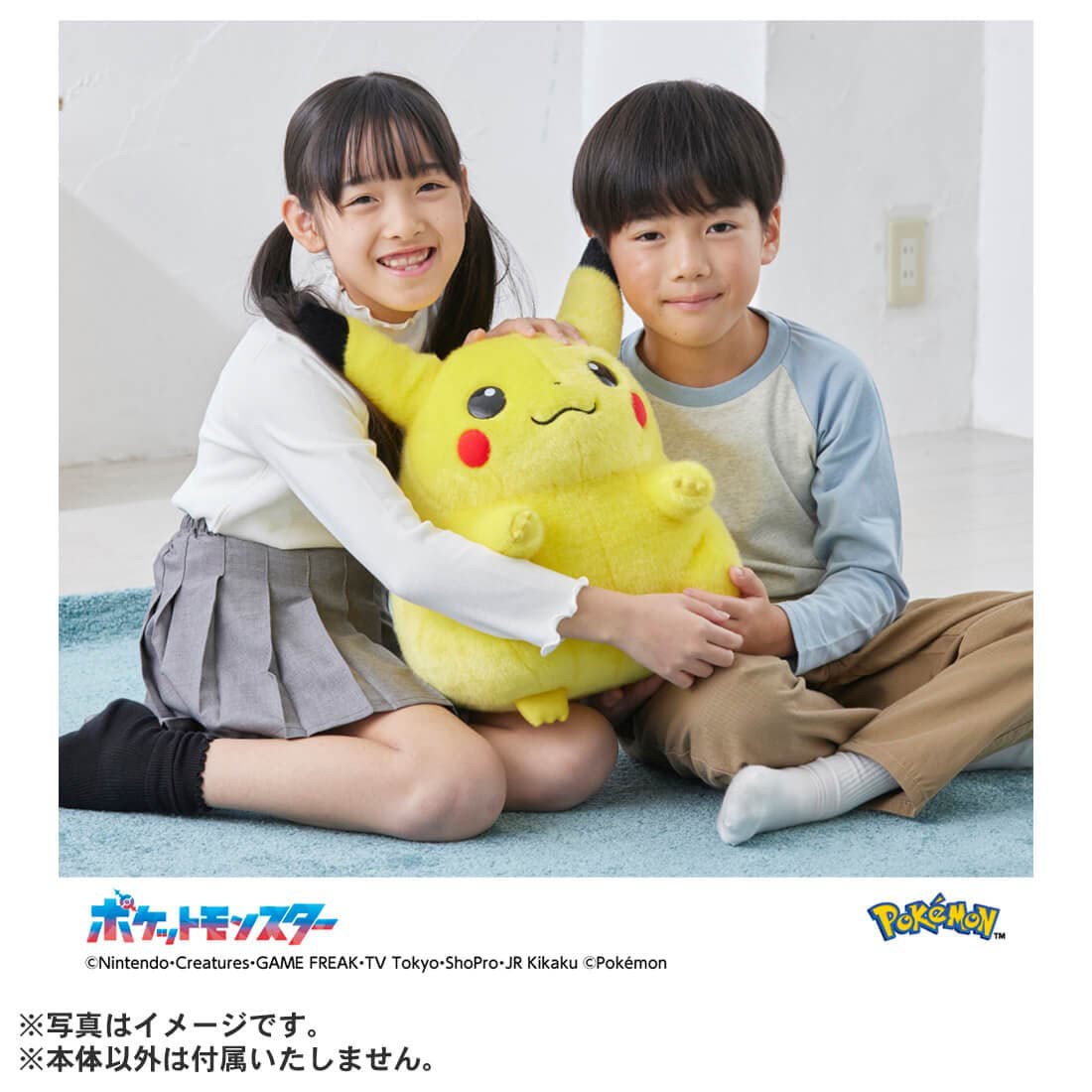 Tomy (TakaraTomy) Pokemon 30th Anniversary Pikachu 1/1 image 5