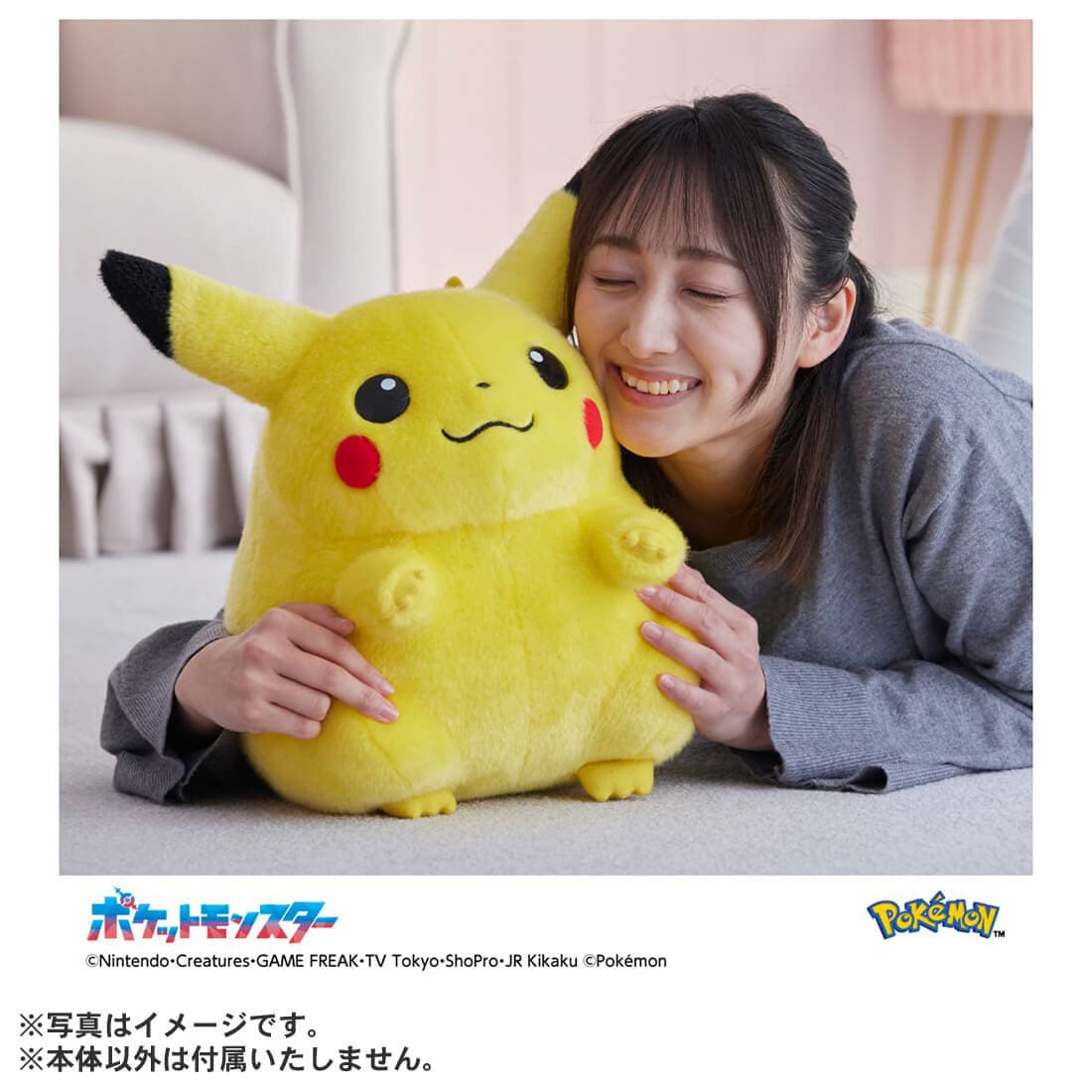 Tomy (TakaraTomy) Pokemon 30th Anniversary Pikachu 1/1 image 6