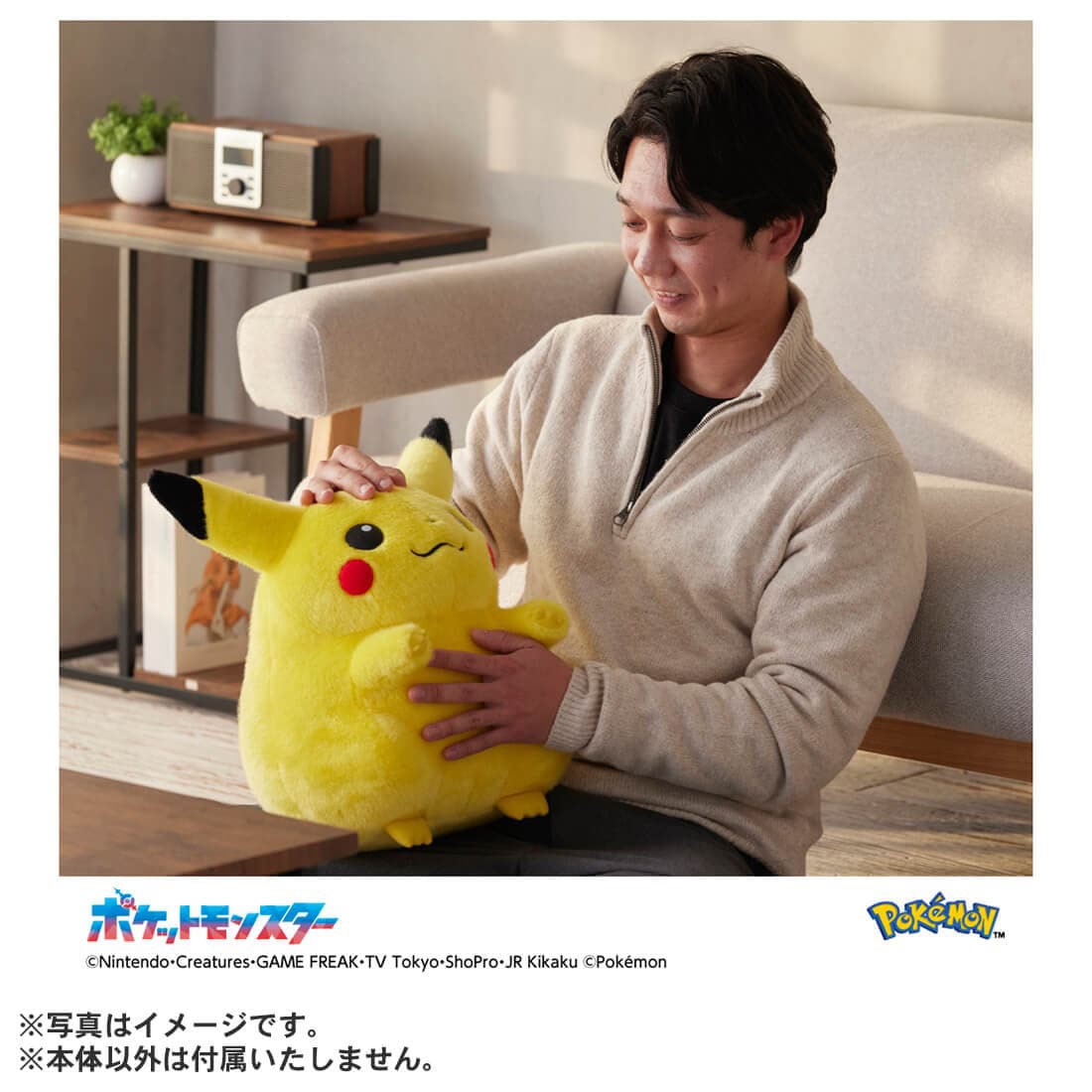 Tomy (TakaraTomy) Pokemon 30th Anniversary Pikachu 1/1 image 7