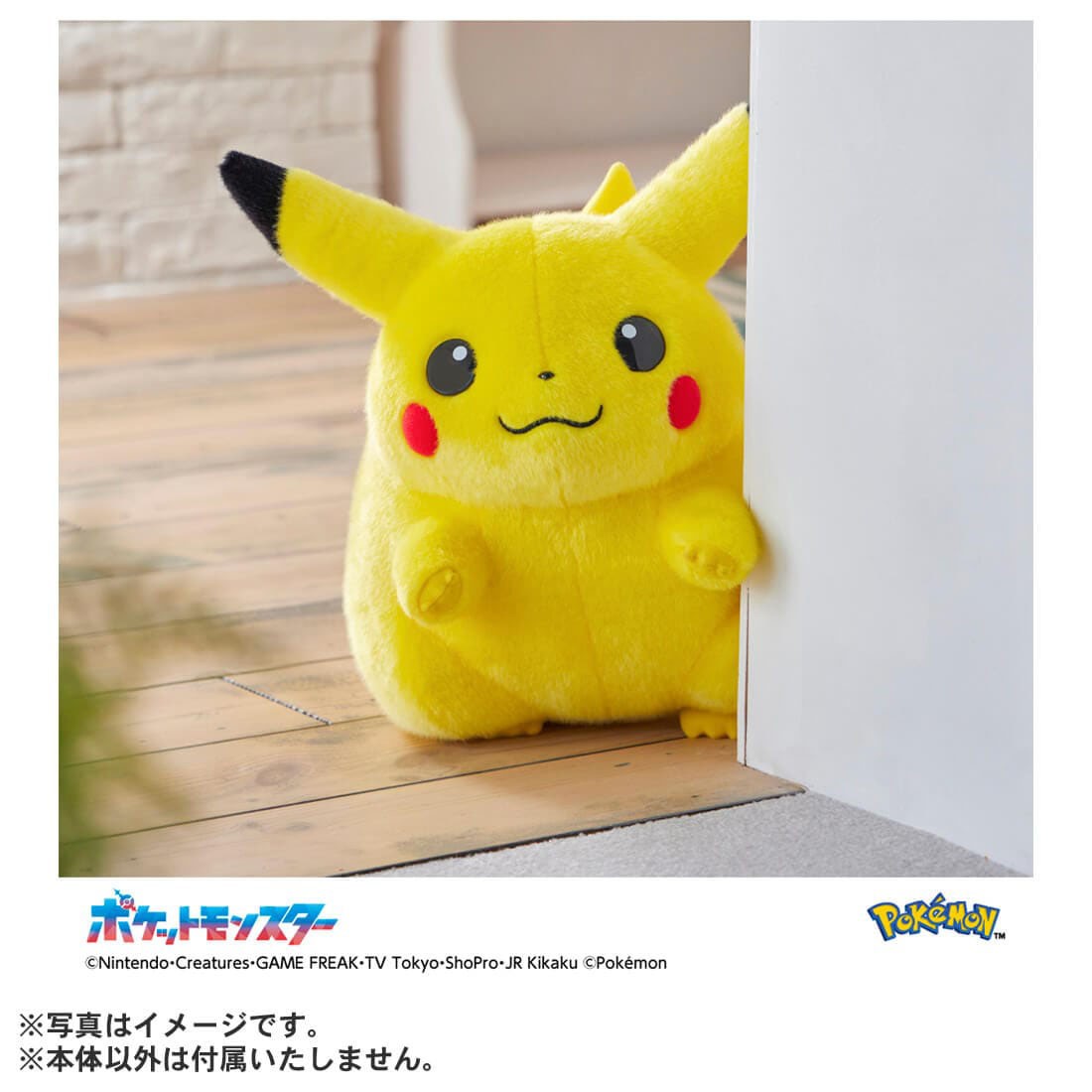 Tomy (TakaraTomy) Pokemon 30th Anniversary Pikachu 1/1 image 8
