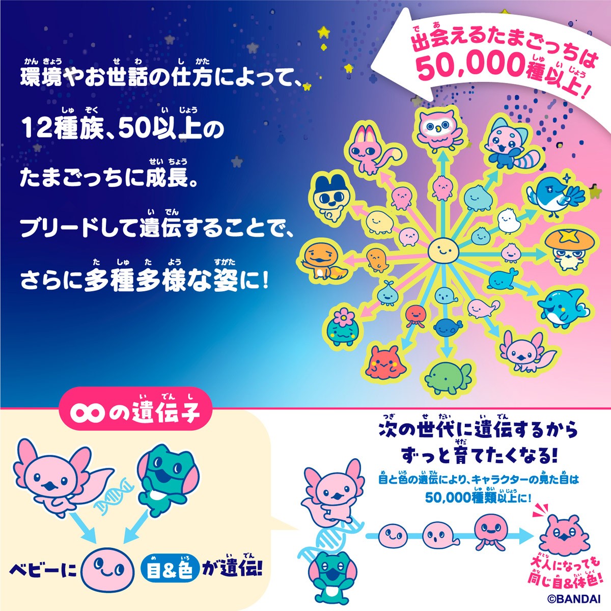 Bandai 타마고치 파라다이스 - 제이드 포레스트 (전자 완구) 이미지 6
