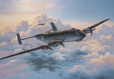 Revell (Germany) Junkers Ju290A-5/7 `Sea Eagle` (Plastic model)