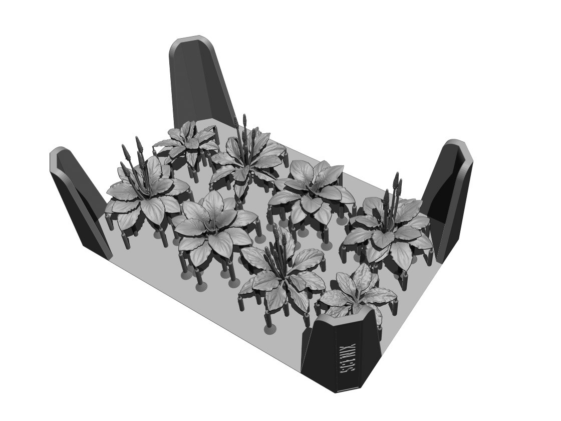 SCENIX Studio Great Plantain Diorama imagen 5