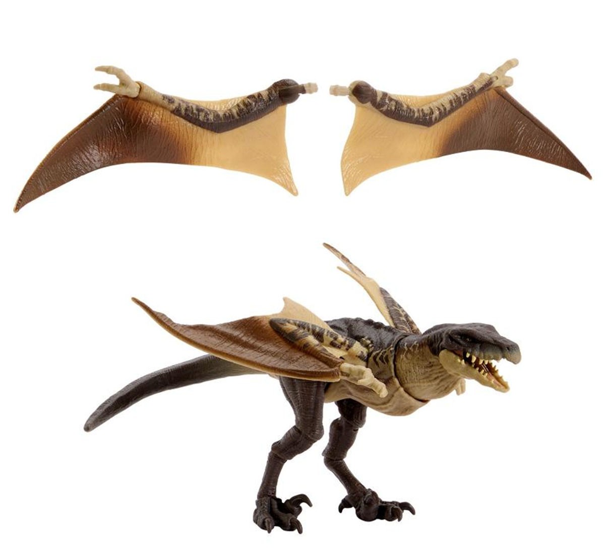 Mattel JKM90 쥬라기 월드 해먼드 컬렉션 뮤타돈 (캐릭터 토이) 이미지 2
