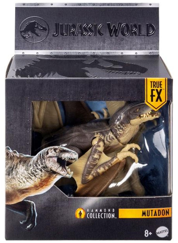 Mattel JKM90 쥬라기 월드 해먼드 컬렉션 뮤타돈 (캐릭터 토이) 이미지 4