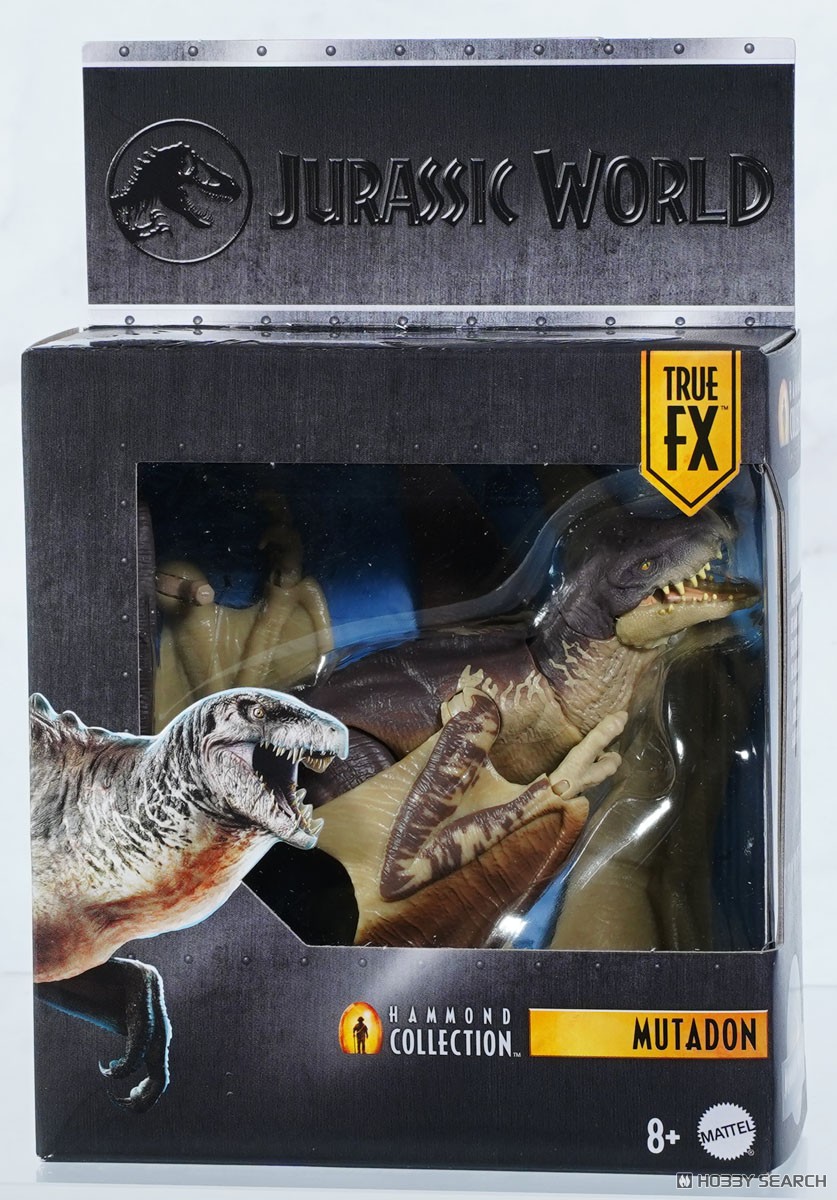 Mattel JKM90 쥬라기 월드 해먼드 컬렉션 뮤타돈 (캐릭터 토이) 이미지 5