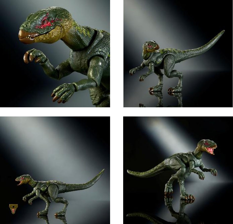 Mattel JKM94 Jurassic World Hammond Collection Hypsilophodon (Character Toy) imagen 3