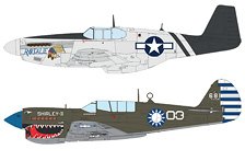 Eduard `Shark &amp; Stallion` P-40N &amp; P-51B/C Dual Combo Limited Edition (Plastic model)