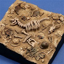 Royal Model Antelope Skeleton (Plastic model)