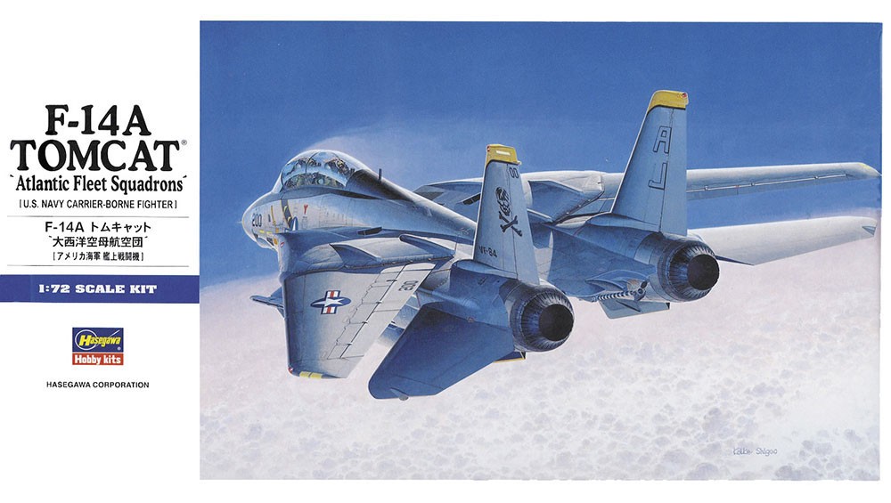 Hasegawa F-14A雄猫战斗机 "大西洋舰队中队" (塑料模型) 图片 2