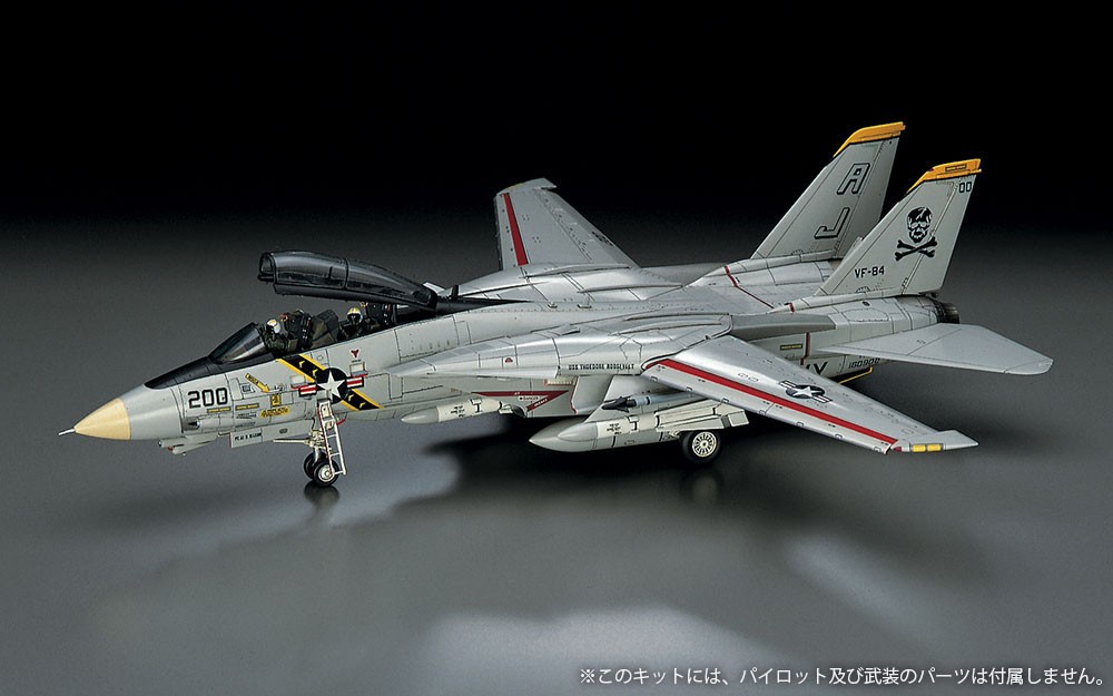 Hasegawa F-14A雄猫战斗机 "大西洋舰队中队" (塑料模型) 图片 3