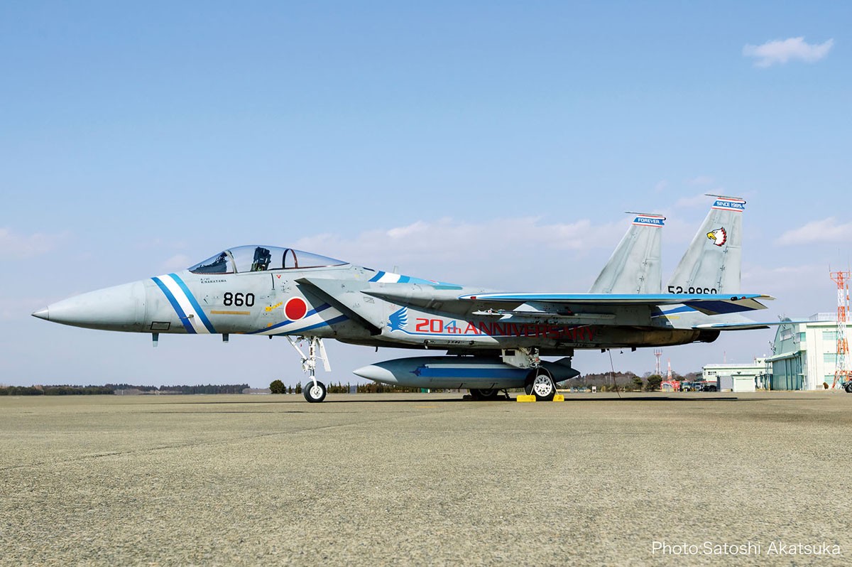 Platz JASDF F-15J 독수리 204SQ 2005 F-15 모형 개수정 20주년 도색 이미지 2