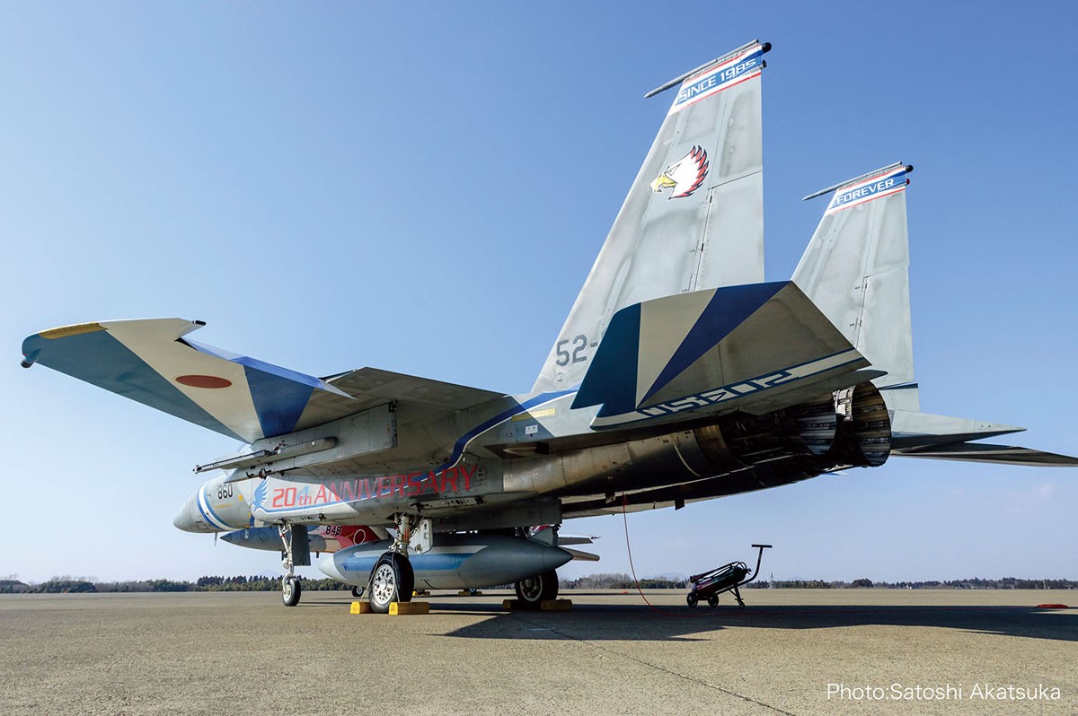 Platz JASDF F-15J 독수리 204SQ 2005 F-15 모형 개수정 20주년 도색 이미지 3