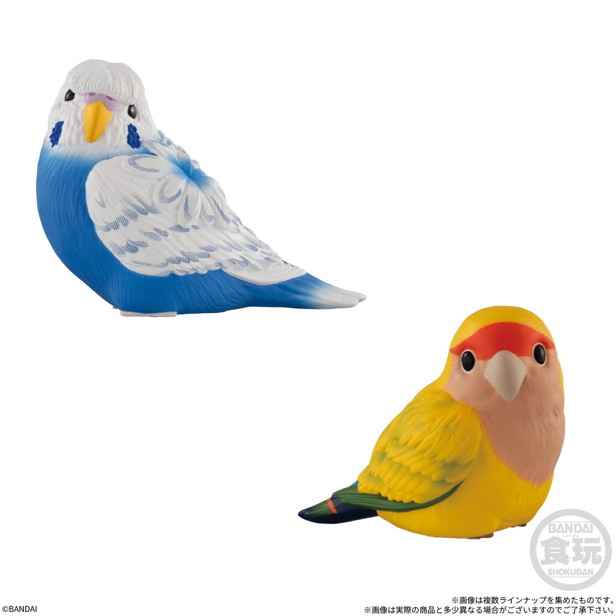 Bandai Tenori Friends 13 (Set of 12) (Shokugan) 圖片 5