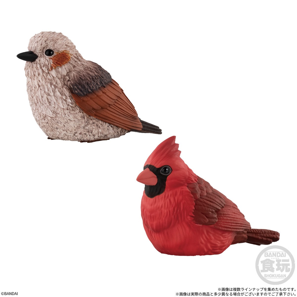 Bandai Tenori Friends 13 (Set of 12) (Shokugan) 圖片 6