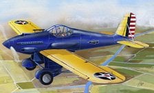LF Models XP-31 (Plastic model) gambar 1