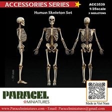 Paracel Miniatures Human Skeleton Set (Plastic model) Bild 1