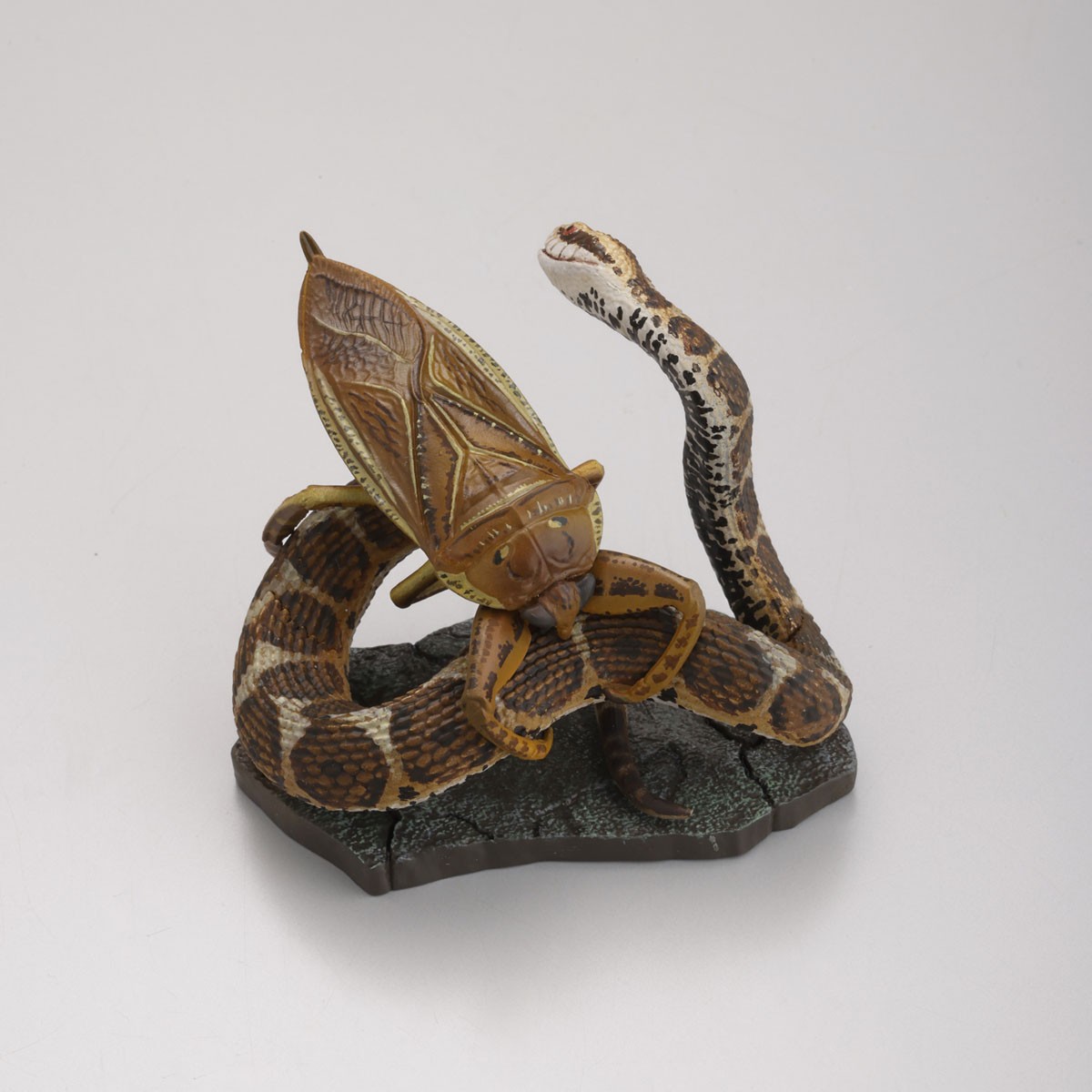 Kaiyodo [Darwin`s Amazing Animals] Surprise and emotion! Stories of living creatures Miniature figures (Set of 10) (Completed) image 5