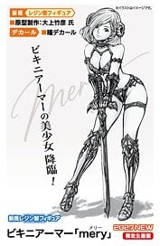 Hasegawa Bikini Armor [mery]