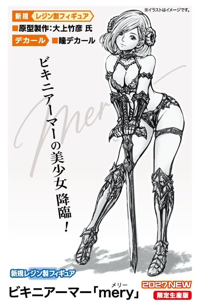 Hasegawa Bikini Armor [mery] 图片 3