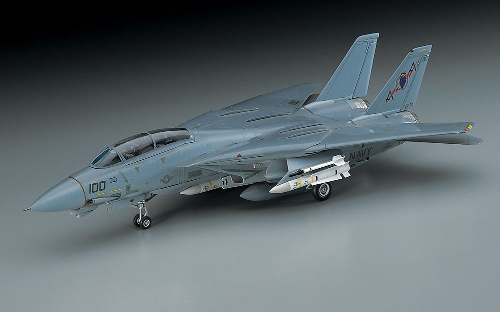 Hasegawa F-14A Tomcat (Low Visibility) (Plastic model) 图片 3