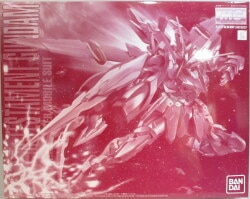 Bandai Spirits MG Mobile Suit Gundam Seed Destinies ASTRAY Testament Gundam