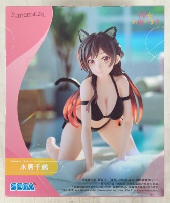 SEGA Yumemirize Chizuru Mizuhara