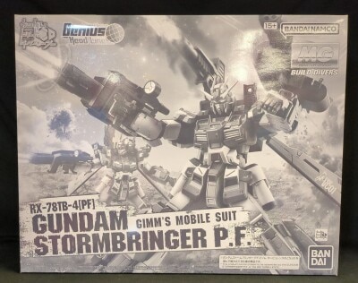 BANDAI SPIRITS MG 1/100 Gundam Build Divers Genius Head Line Gundam Stormbringer PF