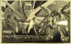 Bandai Spirits RG 1/144 Bandai Namco version Strike Freedom Gundam Deactive Mode