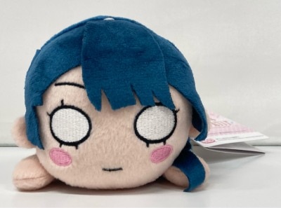 Sega Nesoberi Plush Vol. 4 Summer School Uniform/ Love Live! Ren no Sora Girls' Academy School Idol Murano Sayaka 이미지 1