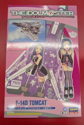 Hasegawa 1/48 Idolmaster F-14D Tomcat Azusa Miura SP270
