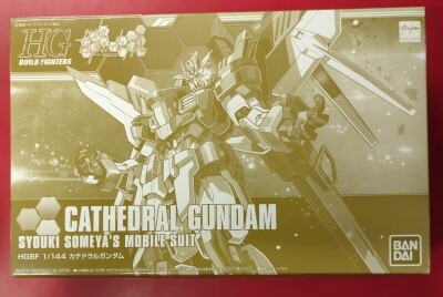 Bandai HG 1/144 Gundam Build Fighters A Cathedral Gundam 图片 1