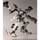 Kotobukiya V.I. Series Armored Core Line Ark WHITE-GLINT Plastic Kit 圖片 8