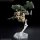 BANDAI SPIRITS HG 1/72 Brady Hound (temp) Plastic Model "Kyoukai Senki" 图片 8