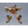 Good Smile Company MODEROID Hao Taikei Ryu Knight Ryu-Knight Collection SERIES:3 Hayatmaru & Delingar Plastic Model 圖片 7