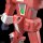 Aoshima ACKS No.DI-02 1/450 Space Runaway Ideon Anime Color ver. Plastic Model Bild 5
