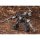 Kotobukiya V.I. Series Armored Core V UCR-10/L AGNI 1/72 Plastic Model hình ảnh 9