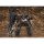 Kotobukiya Armored Core V Variable Infinity. UCR-10A Vengeance 1/72 Plastic Model 圖片 5